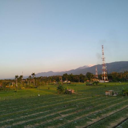 Villa Bintang Lovina Buitenkant foto
