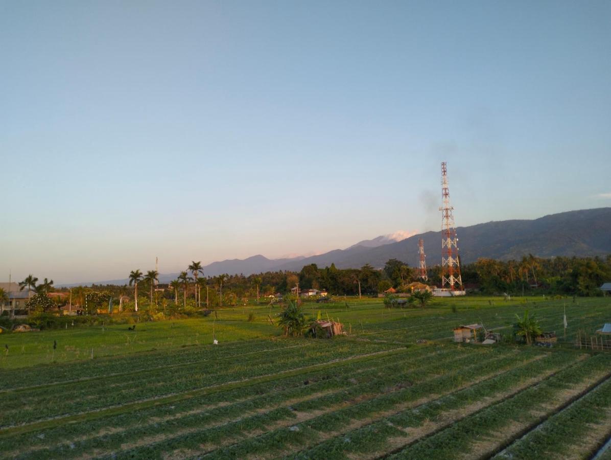 Villa Bintang Lovina Buitenkant foto